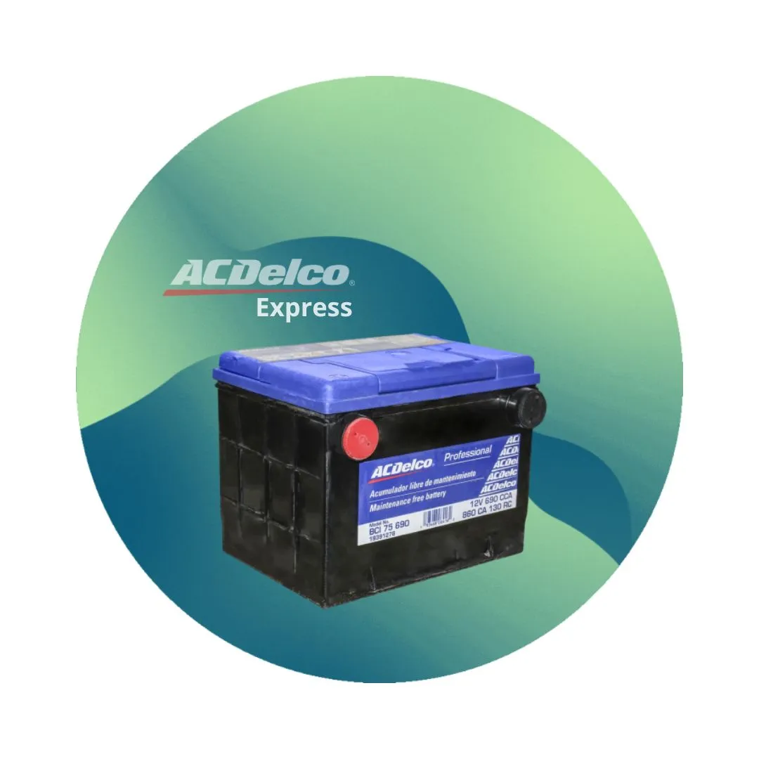 Batería / Acumulador 75 700 Amp +/- Plomo-Ácido
