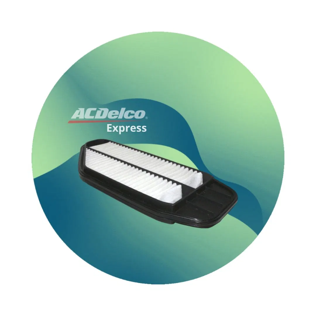 Filtro de Aire Spark 10/17 Beat ACDelco