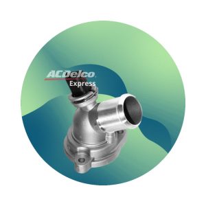 Termostato para Motor de Spark Z-PRO