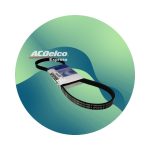 Banda Alternador Bomba Agua Beat 1.2 2018 2019 2020 2021 Gm