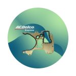 Junta Distribución B/Aceite Cruze1.8 10/17 Trax 1.8 12/15