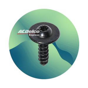 Tornillos Cantoneras Chevrolet S10 2009